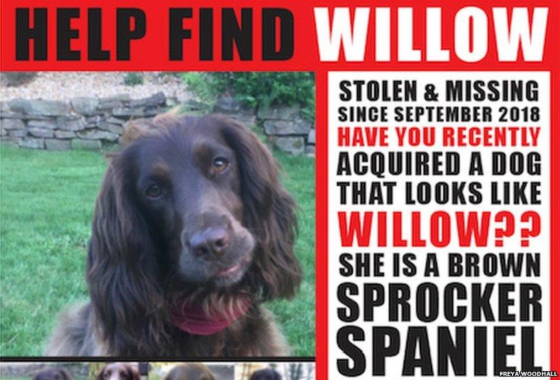 Freya Woodhall Willow missing poster