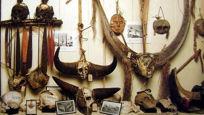 Naga human remains on display at the UK's Pitt Rivers Museum before they were removed in 2020 following an ethical review