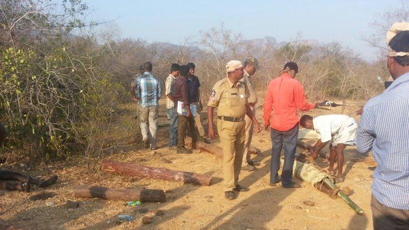 Members of the media film the bodies of loggers killed by an anti-smuggling task force in a remote forest in the southern state of Andhra Pradesh on April 7, 2015.