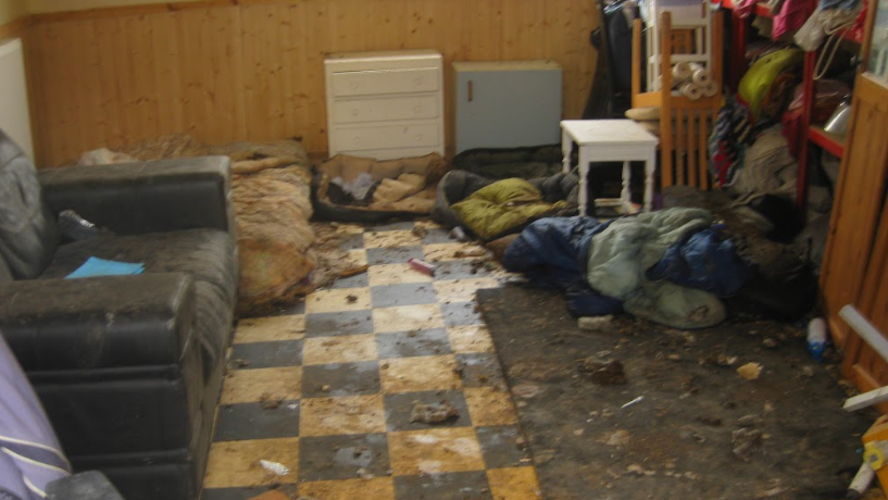 Room with dirty looking dog beds, sofa and rubbish strewn across the floor with chairs stacked up in one corner