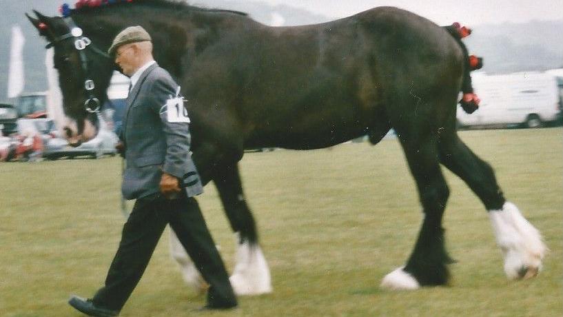 Caesar at a country show