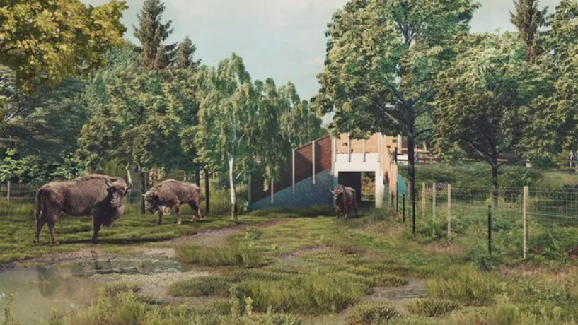 A CGI image shows a huge bridge with people walking over and bison roaming underneath in the reserve