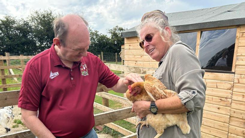 A man and a woman petting a hen next to its pen. The man is wearing a claret coloured t-shirt with a Northampton Town badge on it. The woman has a grey top, glasses and a watch.