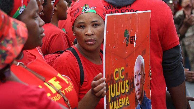 Julius Malema: What next for South African opposition firebrand? - BBC News