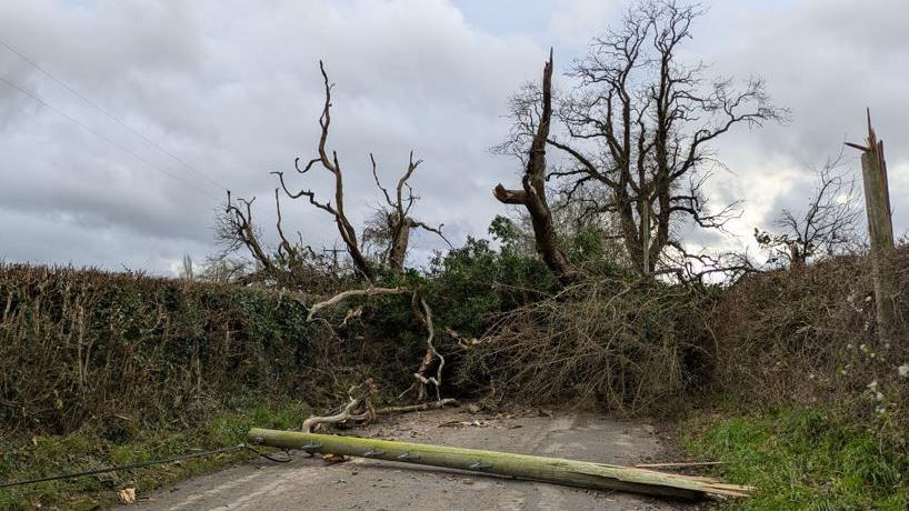 A snapped telegraph pole and fallen tree block a lane between Dingestow and Monmouth in Monmouthshire