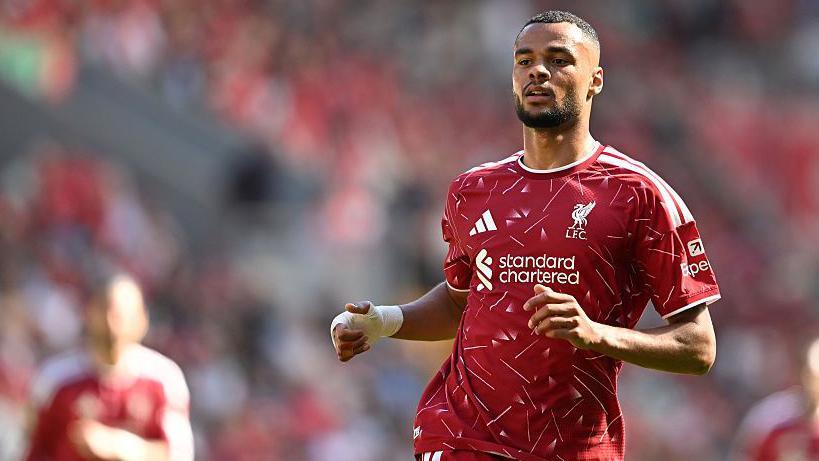Cody Gakpo in action for Liverpool against Brentford on the final day of the 2025-26 campaign