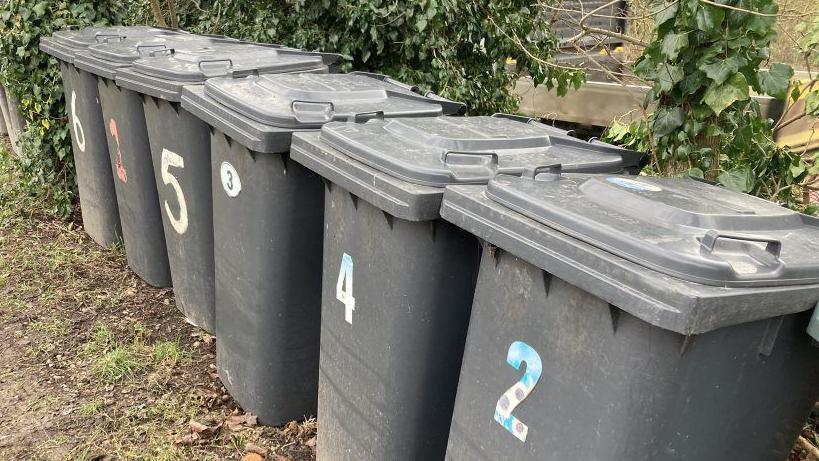 A picture of six black bins in a row. They are in front of a hedge. The bins have different house number on them.