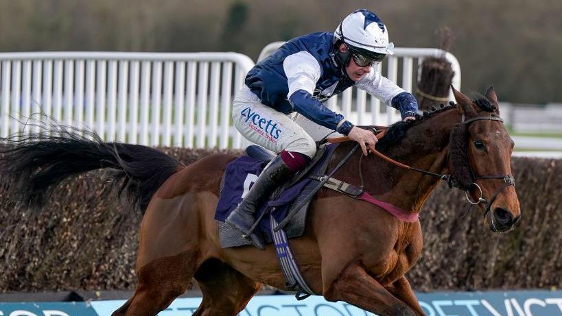 Martator running at Cheltenham