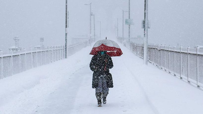 A person is walking across a bridge in the snow. They are holding an umbrella.