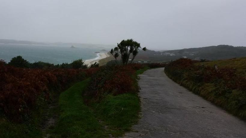 A gloomy day in St Martin's, the Isles of Scilly. A tree can be seen being battered by a strong gust of wind. Blankets of grey clouds cover the skies.