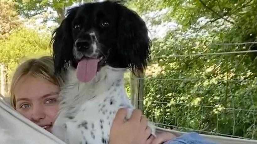 A light-haired woman peeping out of a hammock and cuddling a black and white dog. There is greenery behind them.