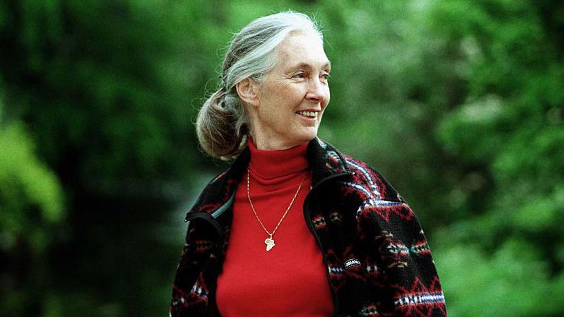Dame Jane Goodall, English UN Messenger of Peace, primatologist, ethnologist and anthropologist pictured before a lecture in Edinburgh. She is wearing a red top with a gold necklace and is looking away from the camera and is smiling. 