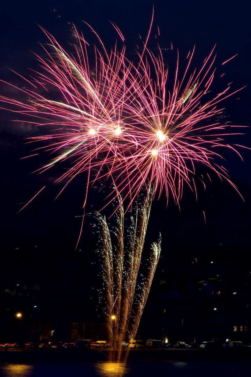 A firework exploding in the night sky/ The colours are vivid pink and purple and the burst fills the sky.