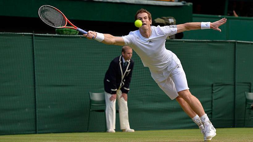 David Bayliss is pictured behind Andy Murray during a match at the Wimbledon championships in 2013