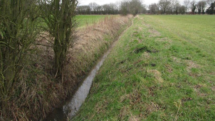 Mill Dike near Doncaster, South Yorkshire