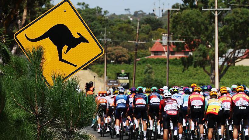 Cyclists ride past a kangaroo sign