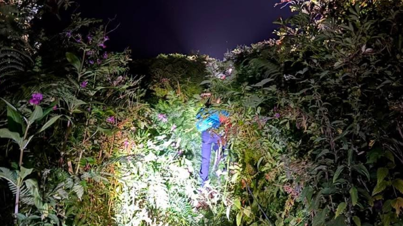 A person wearing dark trousers and a bright blue backpack is making their way through dense vegetation at night, illuminated by  rescue lights.