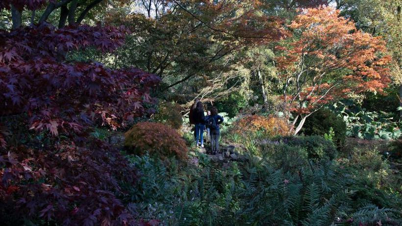 Birmingham Botanical Gardens