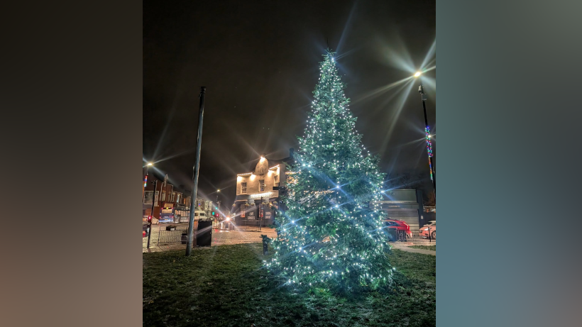 The Fulwell Christmas tree is tall and has a string of blue and yellow lights. It is placed on a grassed area near a road. There are some houses across the street.