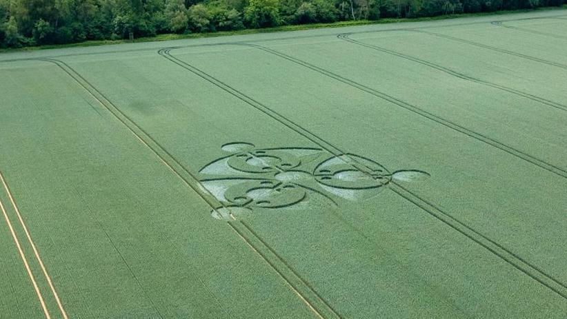 Eye-shaped crop circle discovered in Wiltshire farmer's field - BBC News