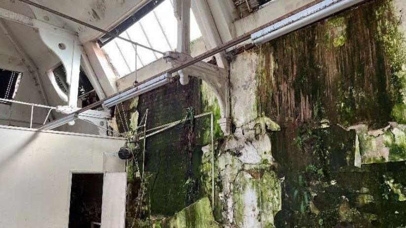 The interior of a building with a green material on the walls which appears to be caused by water having seeped in.