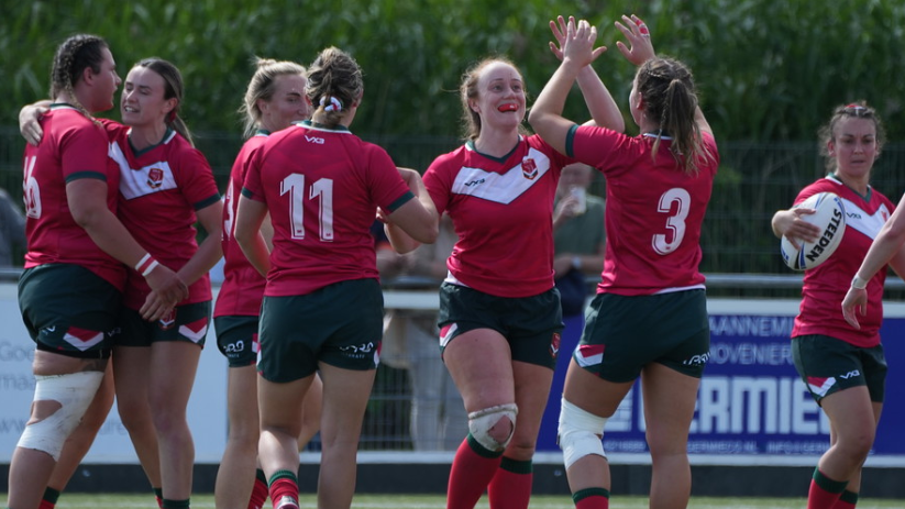 Wales celebrate their half-time lead over Netherlands