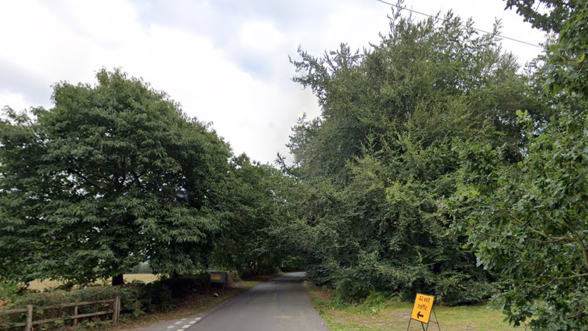 A rural road lined trees