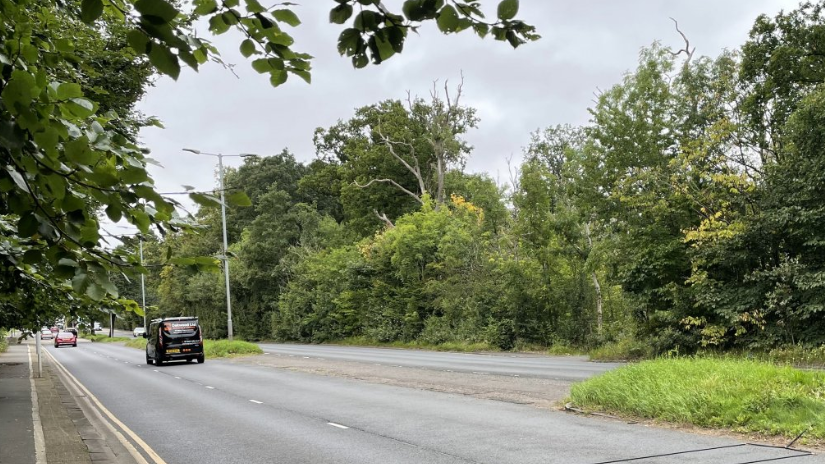 A black people carrier and a red car on a dual-carriageway road which is lined with trees