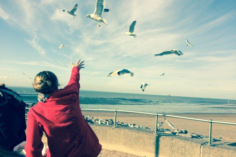 Seagulls at the beach