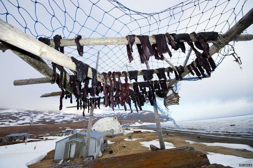 Meat on a drying platform