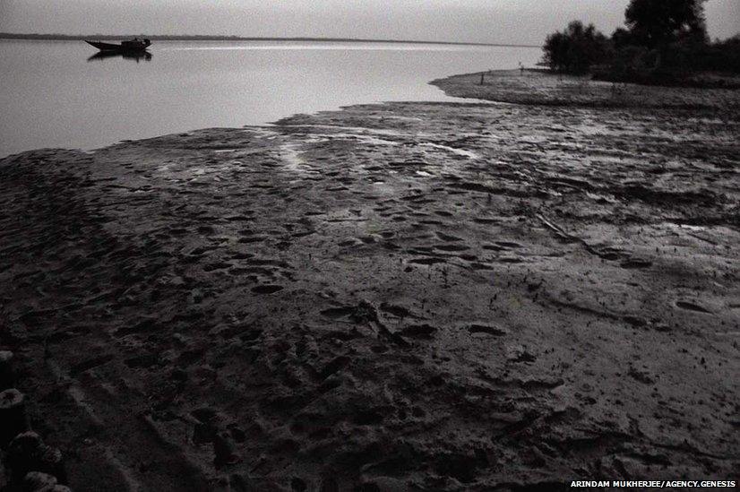 Sunderbans