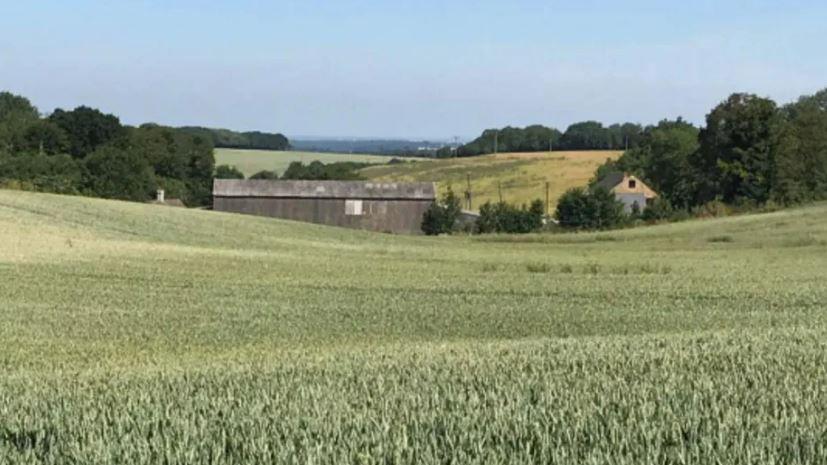 Rolling fields of wheat with a farm in the distance. 