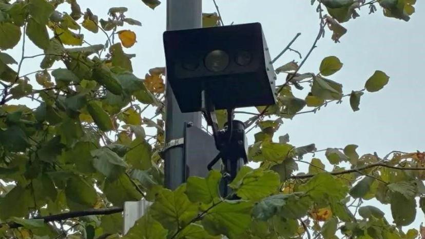 A black bus lane camera surrounded by branches