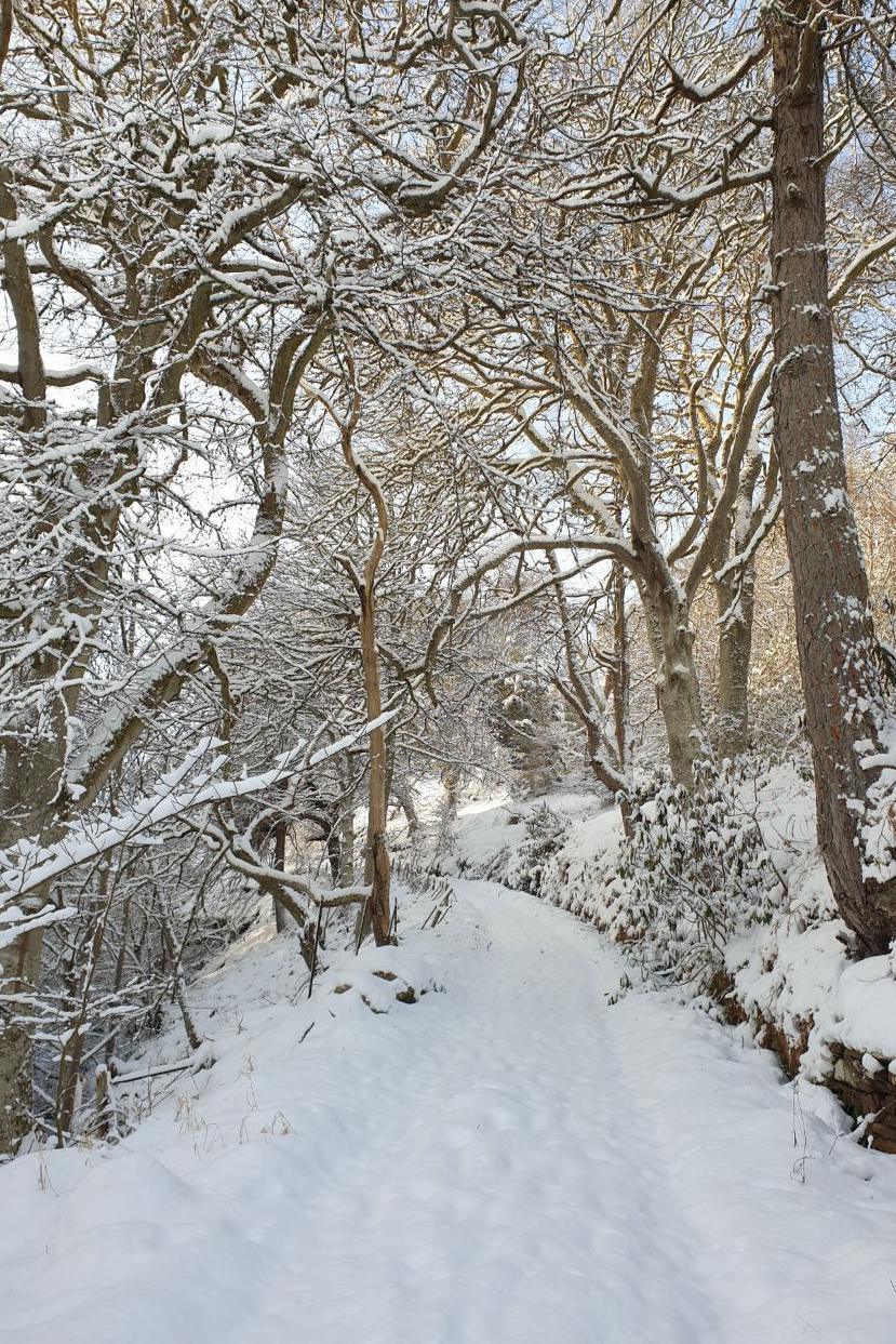 Snow at Berriedale