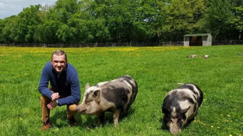 Mr Hodges wearing a blue jumper and brown trousers kneeling down in a field beside two large pigs