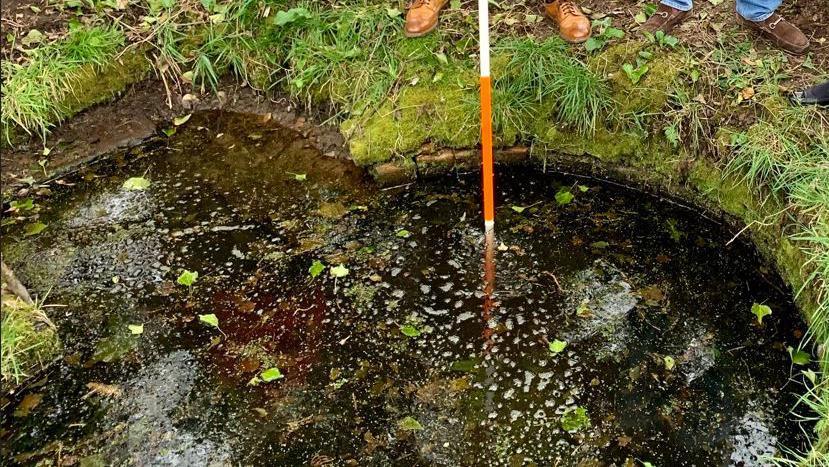 A small green pond with leaves floating on top and a wooden pole sticking into it