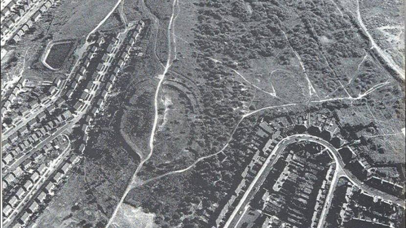 Black-and-white satellite photo of land showing houses and grassland.