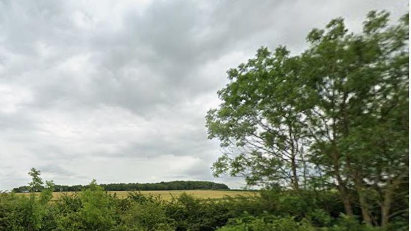 Grass field with trees and hedge in the foreground and wooded area in background.