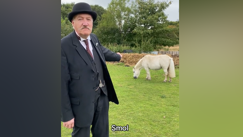 Ian Bean, wearing his 1900s costume, is pointing at a horse. A caption below reads: "Smol".