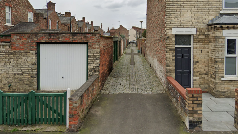 An alleyway lined with terraced brick houses and back gates.