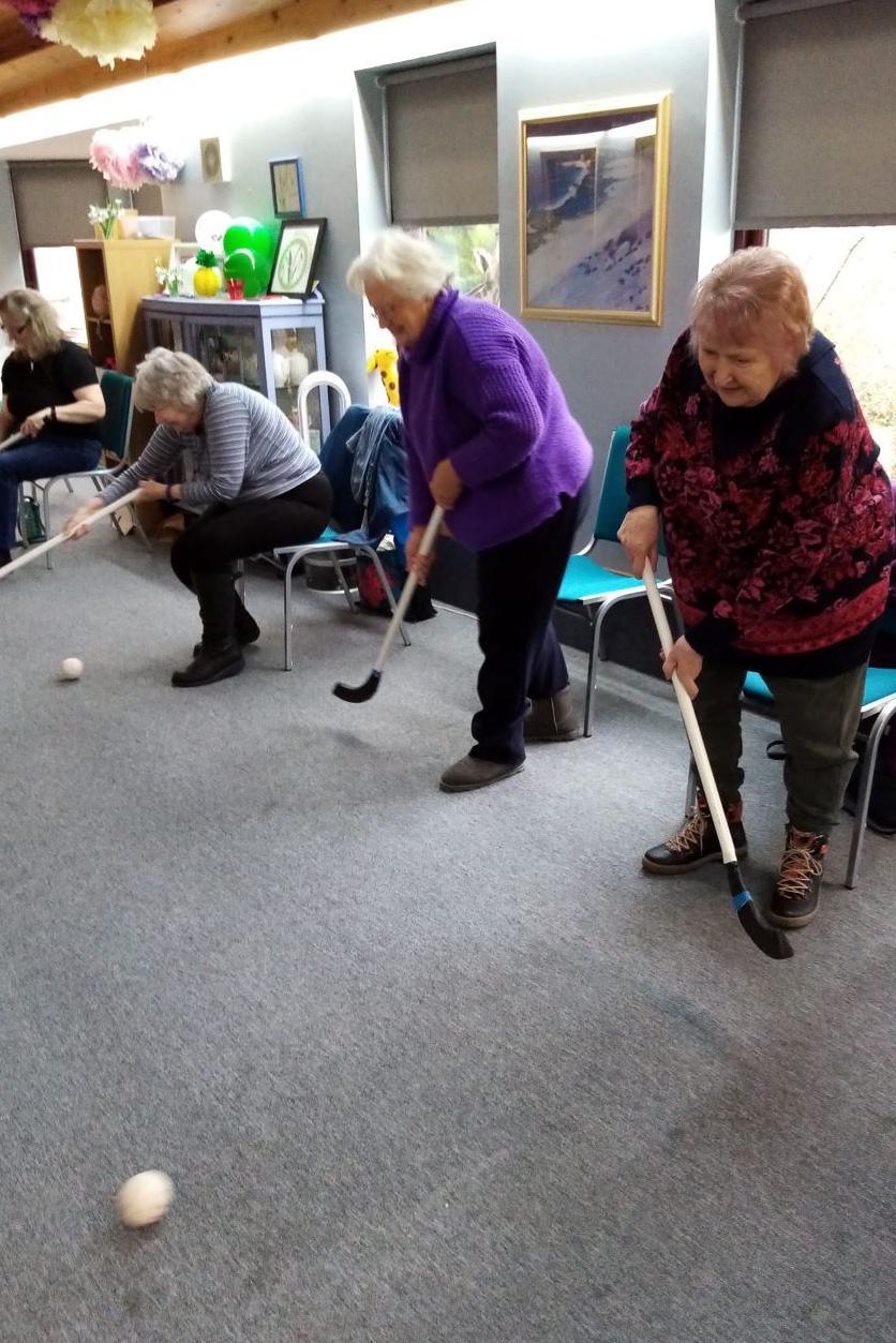 Shinty session