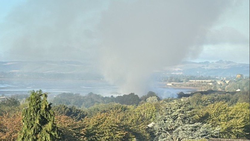 Smoke billows from the distance in a picture taken from a window with houses and trees in the foreground