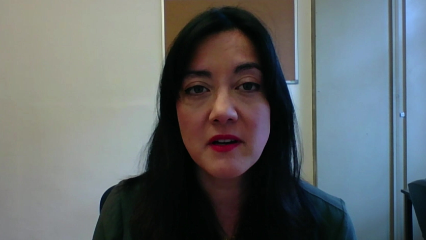 MP Sarah Owen, speaking over computer video communication software. She has long dark hair and is wearing red lipstick, with an office wall visible in the background.