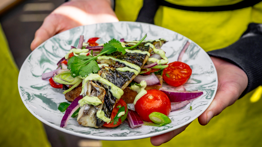 Mackerel presented neatly on a dinner plate on a bed of tomatoes, red onion and spring onion. A sauce has been drizzled over the top. A pair of hands are holding the plate.