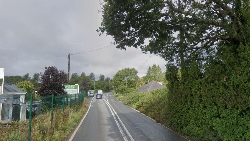 Screenshot of A388 near Tamar View Nurseries, Saltash. The road has large trees on the right and a green fence on the left. The road is a single carriage road.