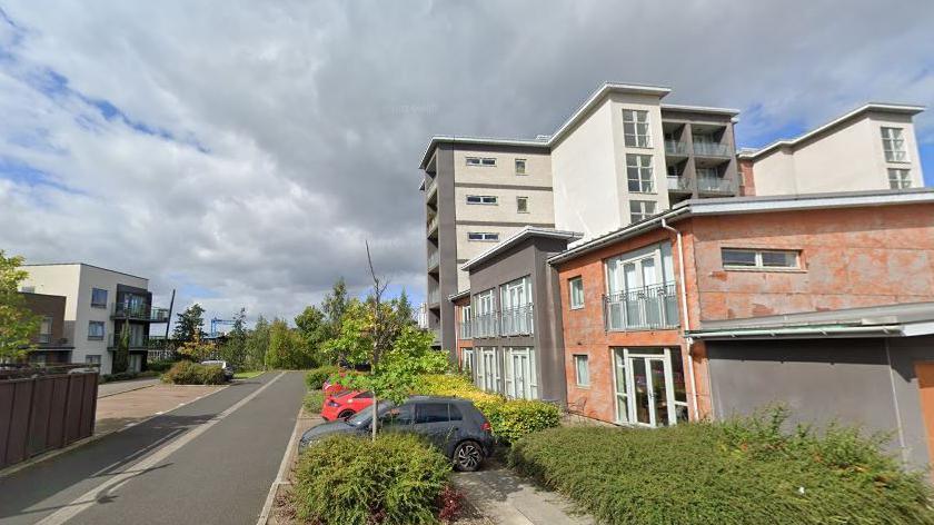 A street on Staiths South Bank in Gateshead. There are buildings on either side which vary in size between two and six storeys. They are box-shaped with flat roofs, and some buildings have balconies. There is a lot of hedges and trees, while a structure across the River Tyne can be seen in the background.