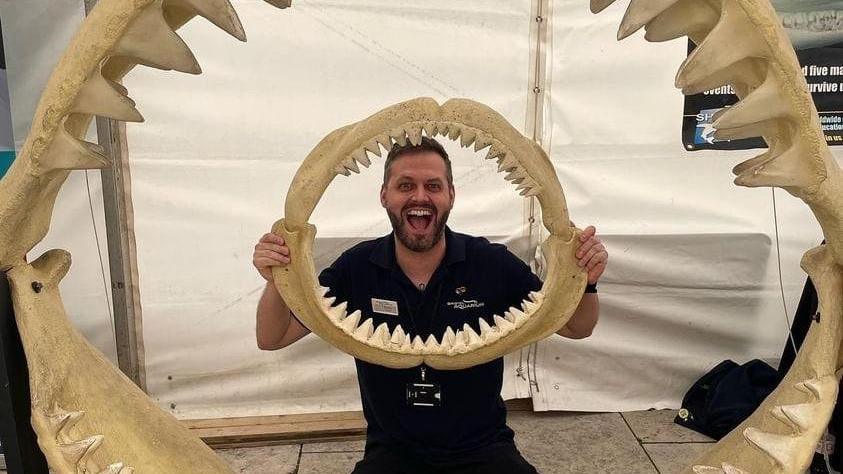 A man holding a set of shark teeth in front of his face. They are larger than his torso. Surrounding him is an even larger set of Megalodon teeth, which are around 7ft tall