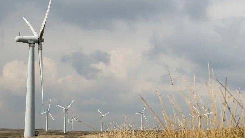 Mae nifer o dyrbinau i'w gweld mewn cae, mae'r awyr yn llwyd uwchben ac mae'r glastwellt yn felyn ar y ddaear. 