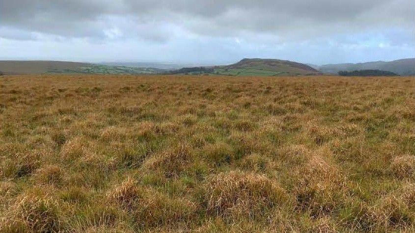 Land on Dartmoor on a cloudy day.