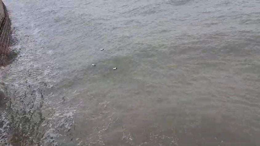 Three bottles in the sea off Ramsgate harbour